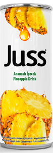 Juss Ananaslı İçecek 330mL Kutu